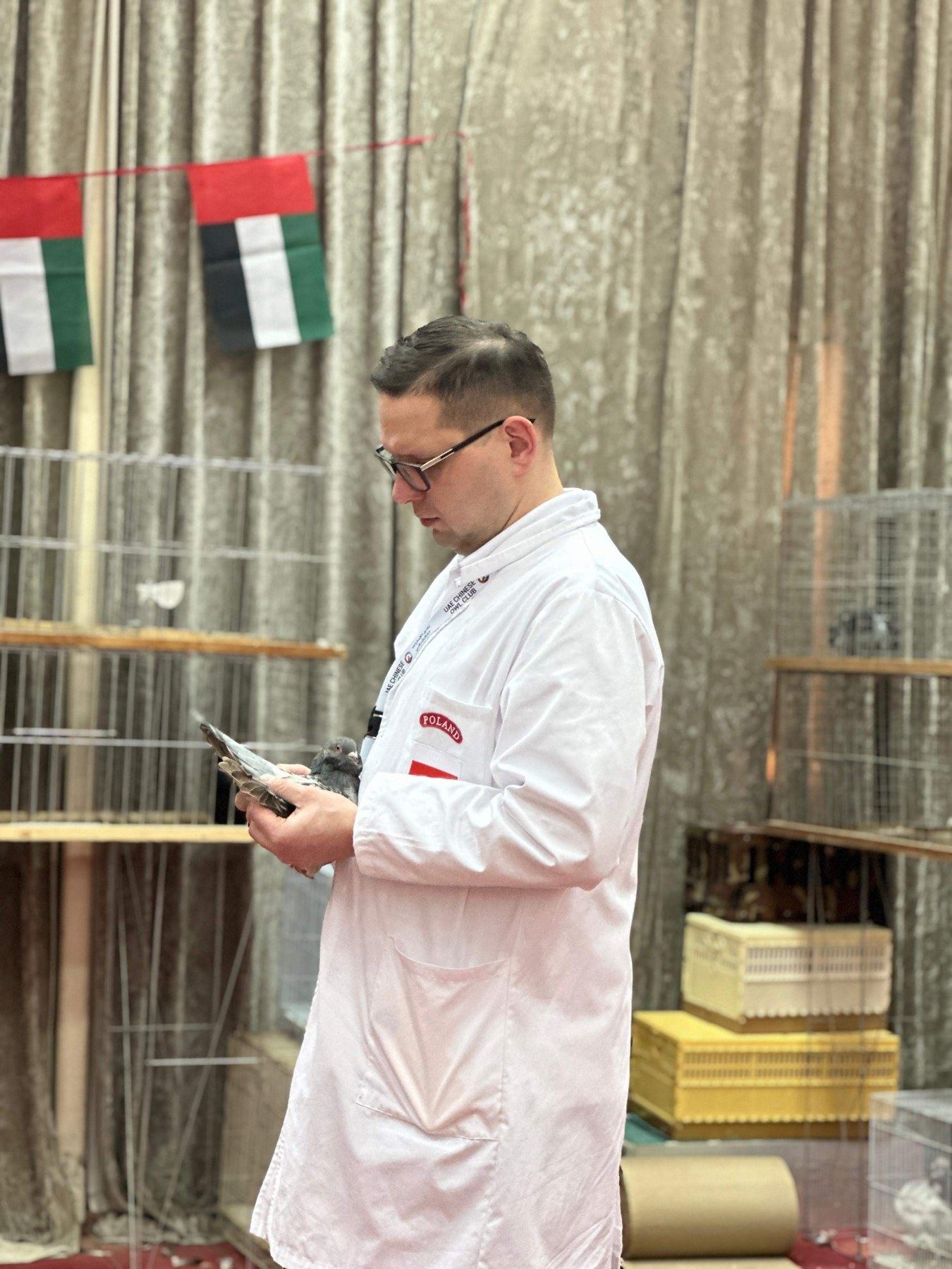 Karol Sarnecki oceniający gołębia chińskiego na wystawie w Zjednoczonych Emiratach Arabskich